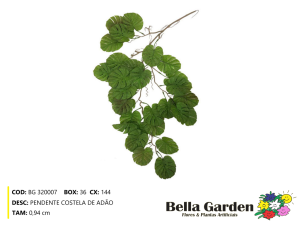 BG 320007 - PENDENTE COSTELA DE ADAO