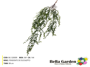BG 320009 - PENDENTE EUCALIPTO