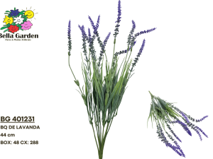 BG 401231 - BQ DE LAVANDA