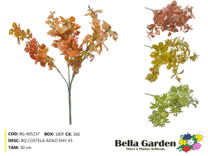 BG 405237 - BQ COSTELA ADAO ENV X5