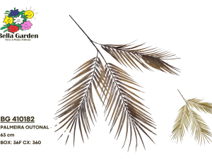 BG 410182 - PALMEIRA OUTONAL