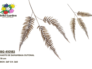 BG 410183 - HASTE DE SAMAMBAIA OUTONAL
