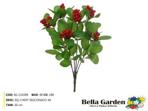 BG 224389 - BQ CHERY SILICONADO X6