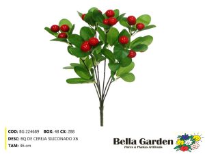 BG 224689 - BQ DE CEREJA SILICONADO X6