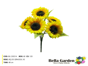 BG 230314 - BQ DE GIRASSOL X5