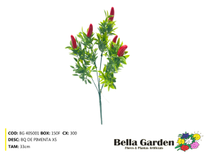 BG 405001 - BQ DE PIMENTA X5