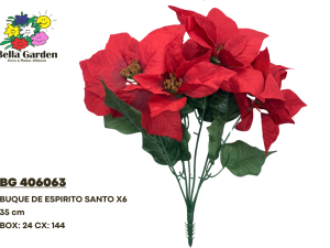 BG 406063 - BUQUE DE ESPIRITO SANTO X6