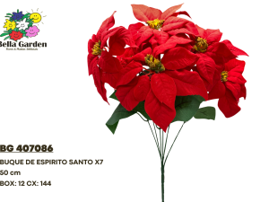 BG 407086 - BUQUE DE ESPIRITO SANTO X7