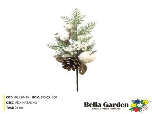 BG 220445 - PICK NATALINO
