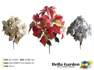 BG 223648 - BQ ESPÍRITO SANTO LIXADO X5