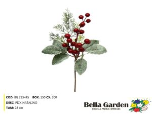 BG 225445 - PICK NATALINO