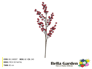 BG 240007 - PICK DE NATAL