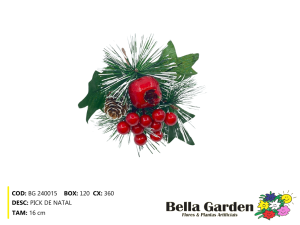 BG 240015 - PICK DE NATAL