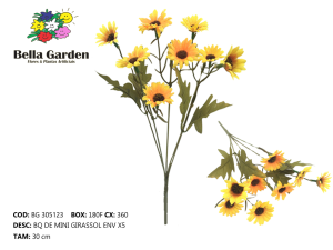 BG 305123 - BQ DE MINI GIRASSOL ENV X5
