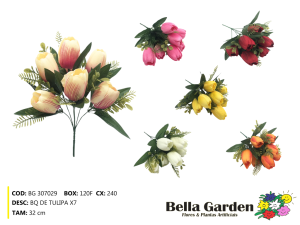 BG 307029 - BQ DE TULIPA X7